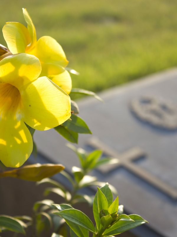 Spostamento salma cimitero padova